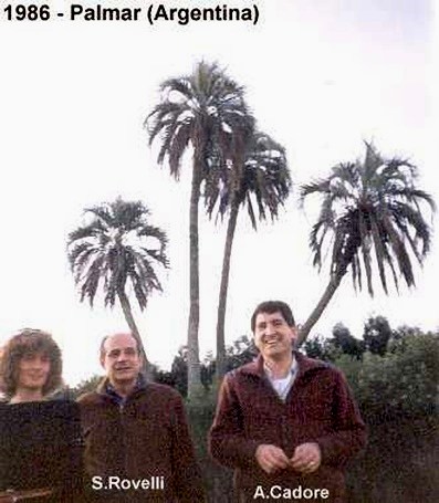 Mondo 7